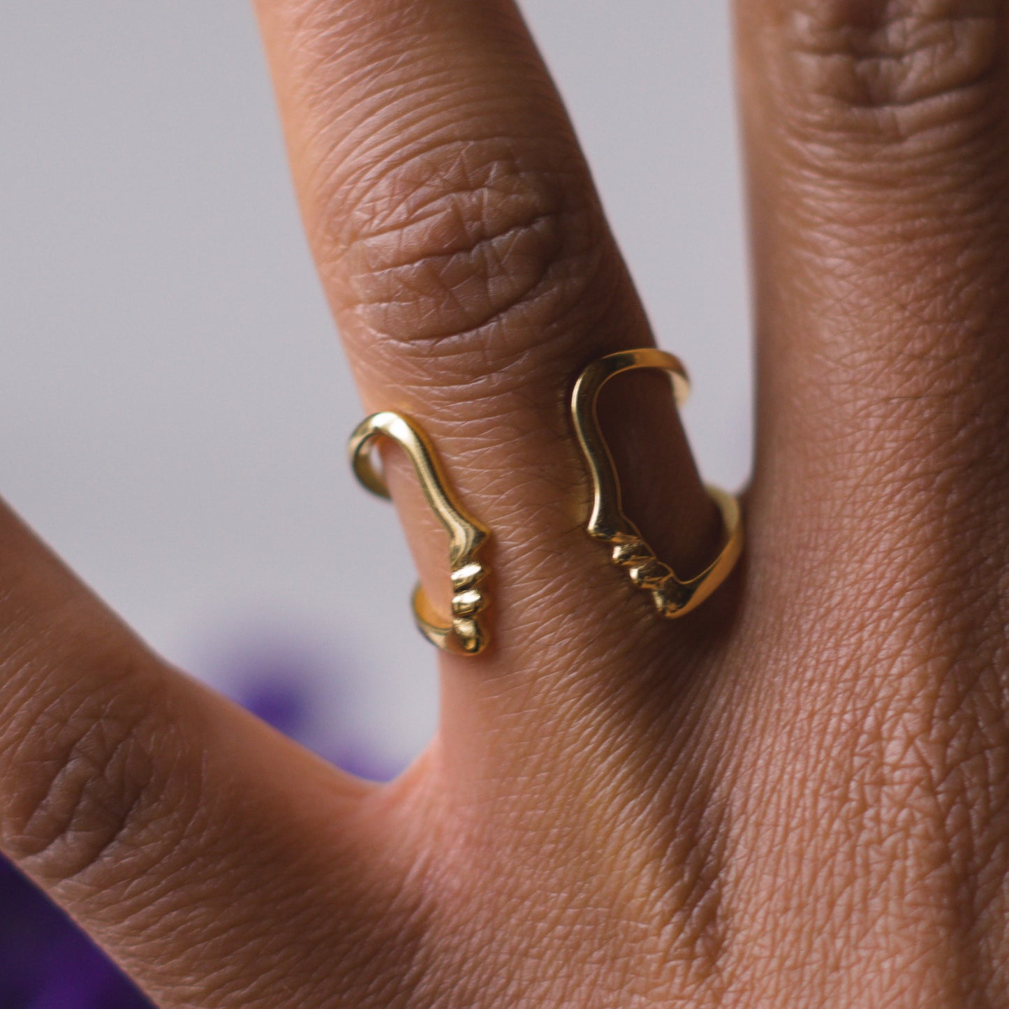 GOLDEN RING JANUS
